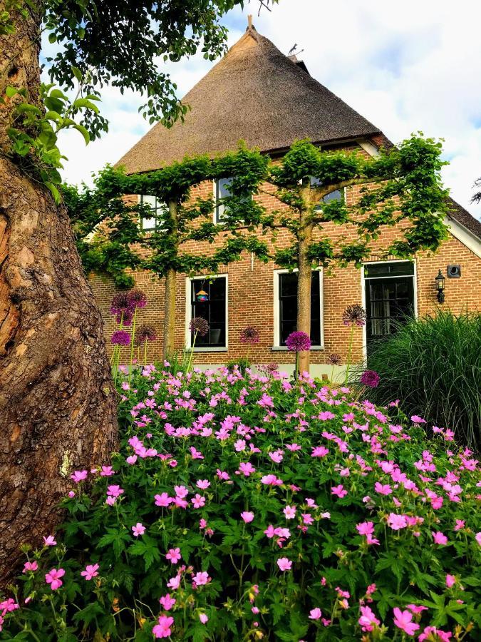 Appartement "In De Wolken" In Gees Exterior photo